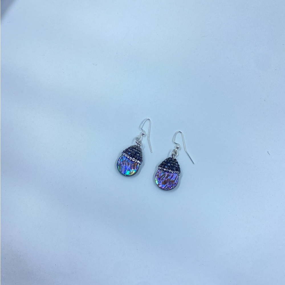 Earrings- Paua Shell - image 2